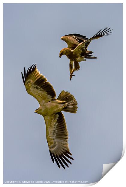 Tawny Eagles; Aquila rapax Print by Steve de Roeck