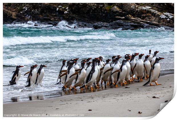 Gentoo Penguins Return From The Sea Print by Steve de Roeck