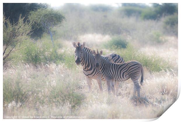 Mother and Baby Plains Zebra Print by Steve de Roeck