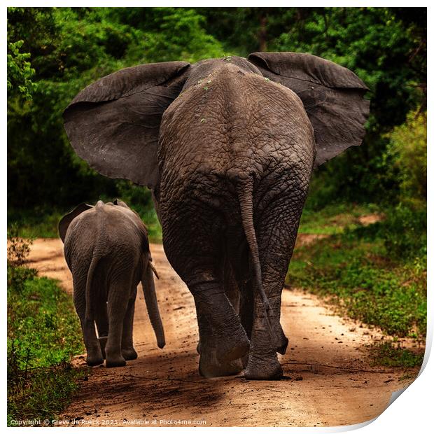 No More Pictures, Thank You; Mother And Baby Elephant Depart Print by Steve de Roeck