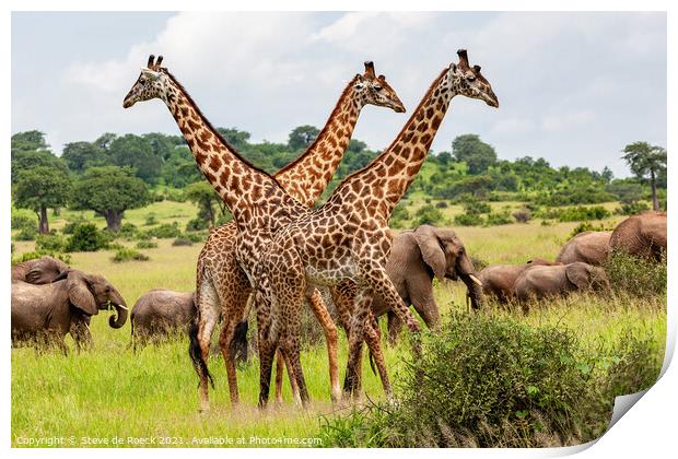 Masai giraffe with elephants Print by Steve de Roeck