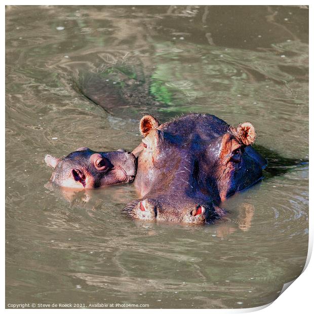 Hippopotamus Mother And Baby Print by Steve de Roeck