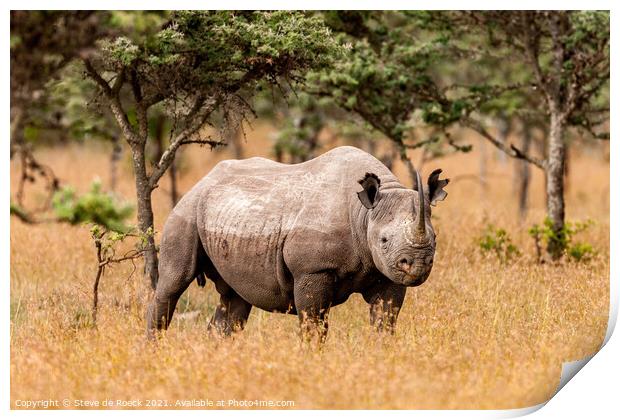 black rhinoceros or hook-lipped rhinoceros (Dicero Print by Steve de Roeck