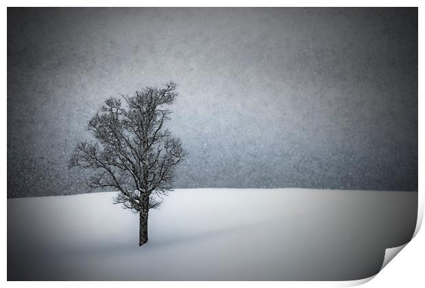 LONELY TREE Idyllic Winterlandscape Print by Melanie Viola