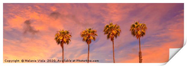 Palm trees sunset | panoramic view Print by Melanie Viola