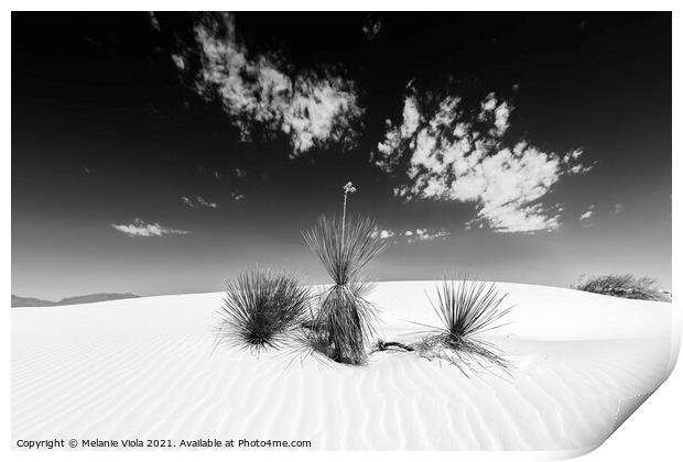 White Sands Impression | Monochrome Print by Melanie Viola