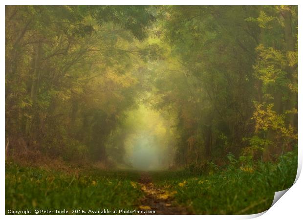 Misty Woods Print by Peter Towle