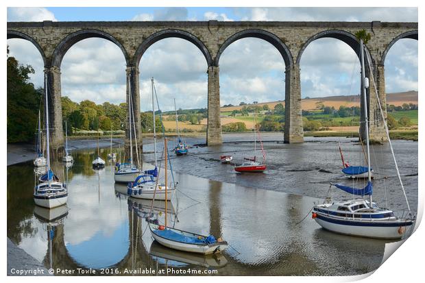 St Germans Viaduct,Cornwall  Print by Peter Towle