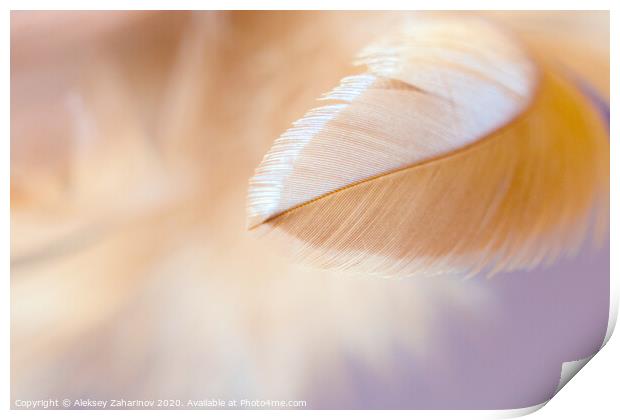 Dream Feather Print by Aleksey Zaharinov