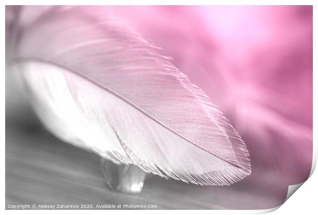 Dream Feather Print by Aleksey Zaharinov