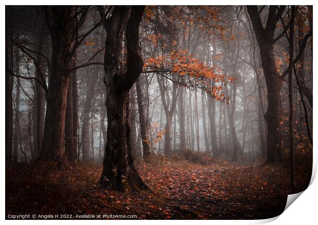Foggy Forest Print by Angela H
