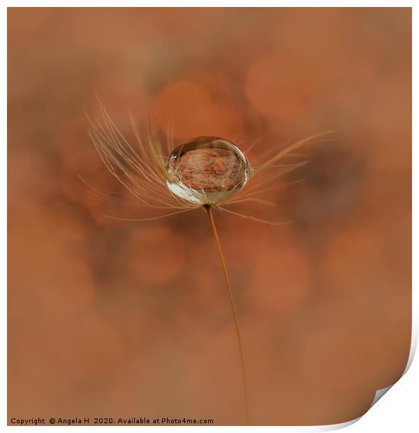 Dandelion Seed Print by Angela H