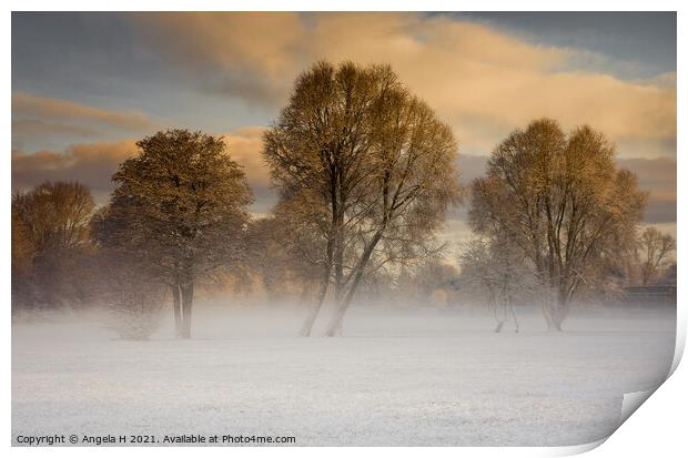 Beltane Park in the mist Print by Angela H