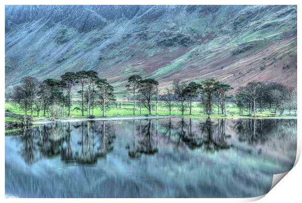 Buttermere Pines Print by Simon Wells
