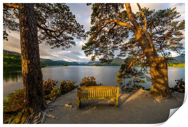 Friar's Crag, Keswick, Cumbria UK Print by Michael Brookes