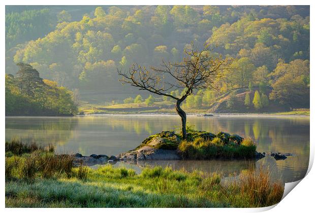 First light at Rydal Water Print by Michael Brookes