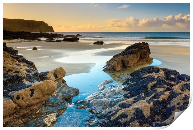 Carne beach and Nare Head Print by Michael Brookes