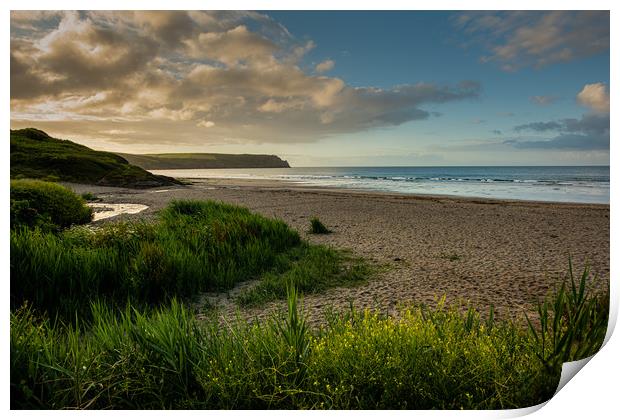 Nare Head and Pendower Beach Print by Michael Brookes
