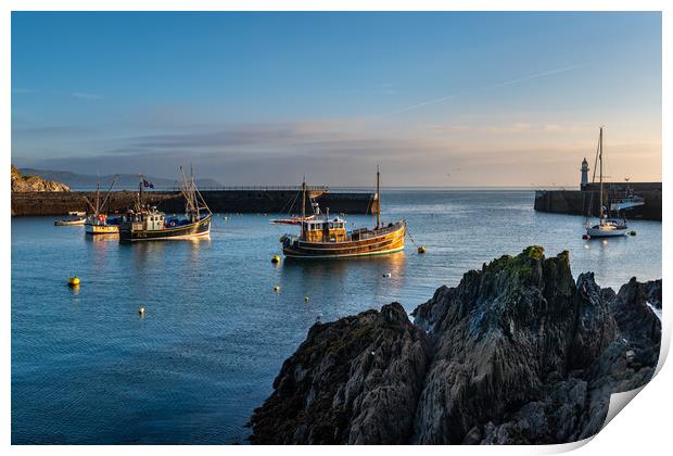 Boats in Mevagissey harbour Print by Michael Brookes