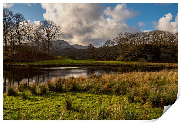 Langdales from near Elterwater Cumbria III Print by Michael Brookes