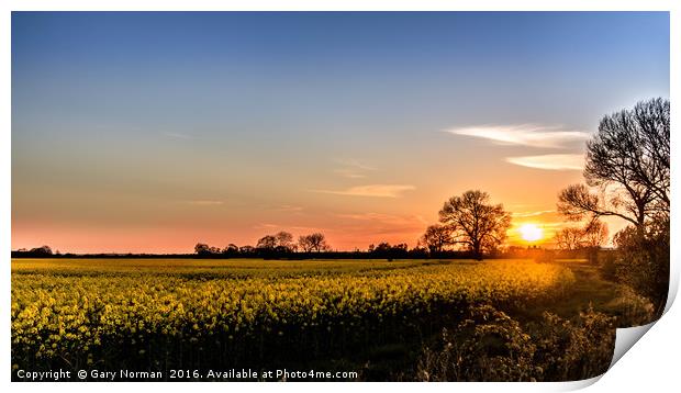 Spring Sunset Over the Rapeseed Field Print by Gary Norman
