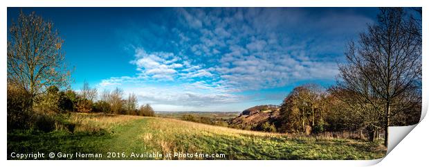 Sharpenhoe Clappers Panorama Print by Gary Norman