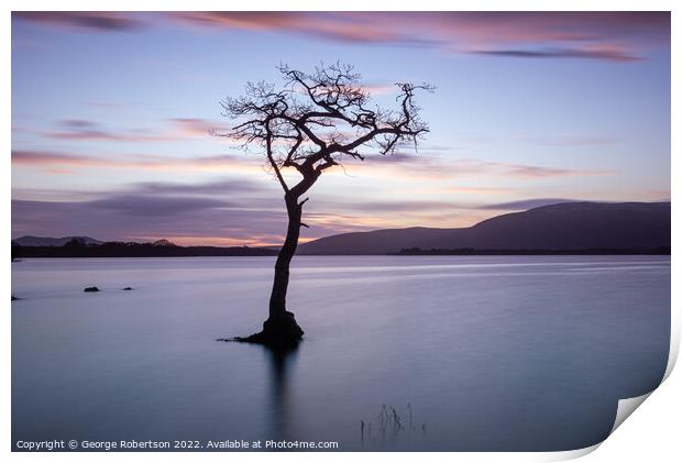 Lone Tree at Sunset, Loch Lomond Print by George Robertson