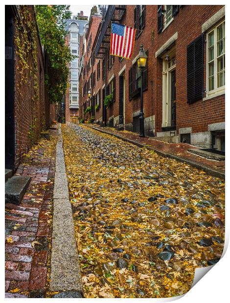 The Fall on Acorn Street ,Boston Print by George Robertson
