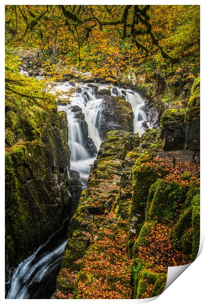 Waterfalls on the River Braan in Autumn Print by George Robertson