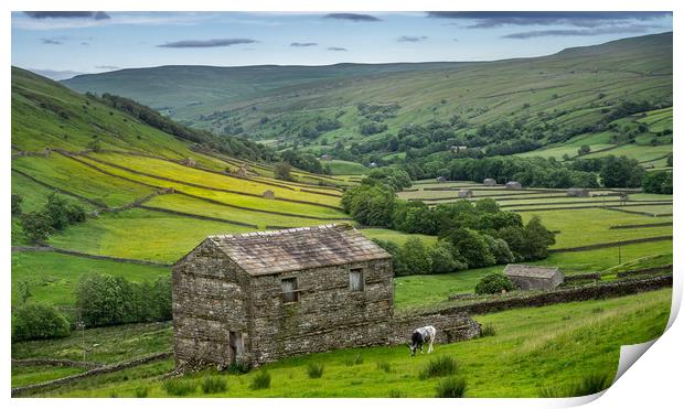 The old barns in Swaledale Print by George Robertson