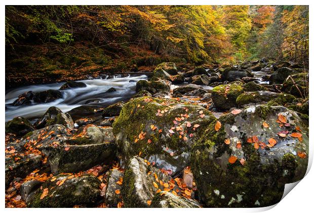 Autumn on the River Braan in Perthshire Print by George Robertson
