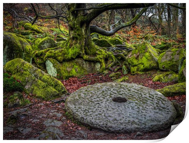 Old Millstone on the forest floor Print by George Robertson