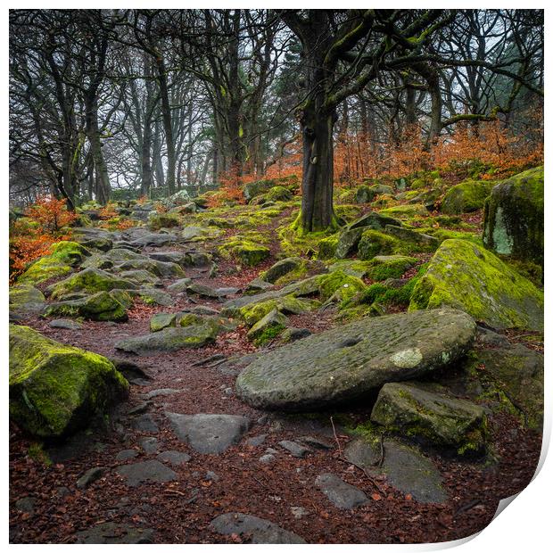 Old Millstone beside path in Padley Gorge woods Print by George Robertson