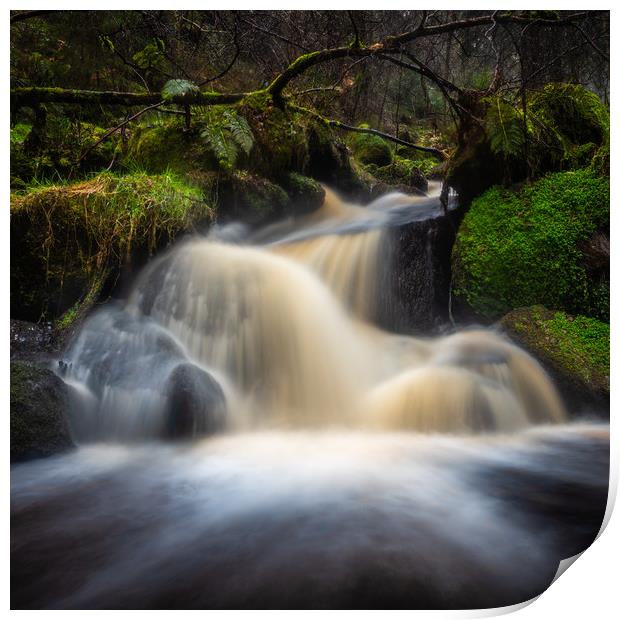 Waterfalls on a small brook Print by George Robertson