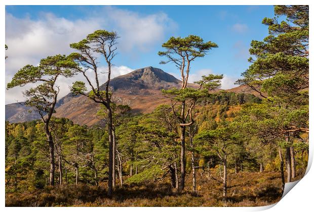 Sgurr na Lapaich in Glen Affric Print by George Robertson