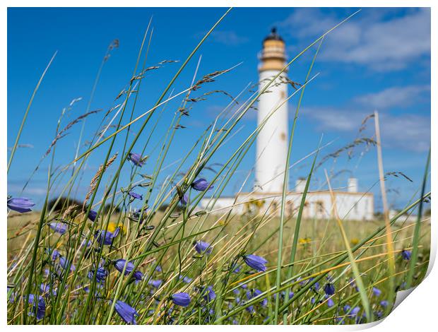 Looking through the wild flowers to Barns Ness Lig Print by George Robertson