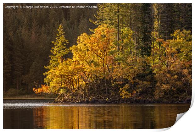 Autumn gold at Loch Ard Print by George Robertson