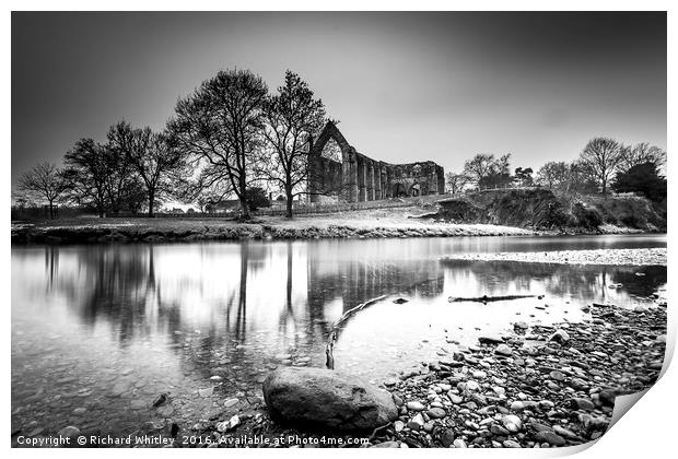Bolton Abbey, Yorkshire Print by Richard Whitley