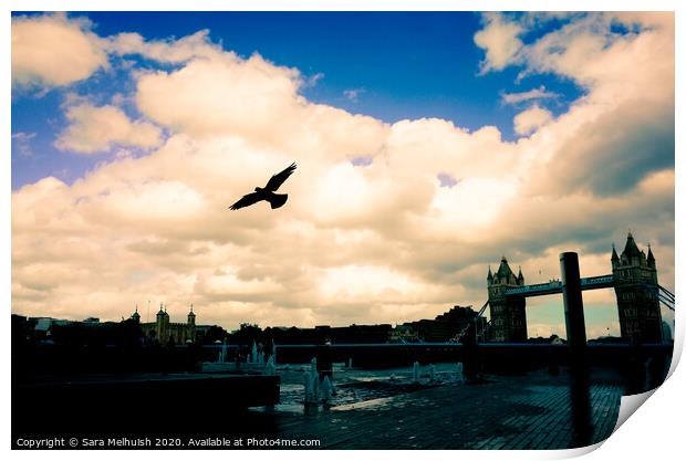 Flying free over the city Print by Sara Melhuish