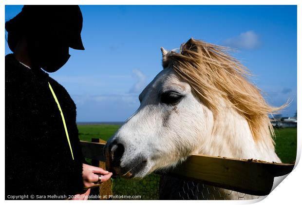 Girl feeding horse Print by Sara Melhuish