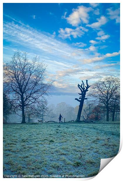 Frosty morning dog walk, Part 2 Print by Sara Melhuish