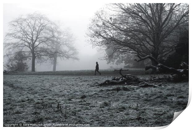 A large tree in a field with man in the background walking through the fog Print by Sara Melhuish