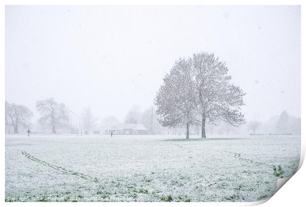 Eltham park in the snow Print by Sara Melhuish