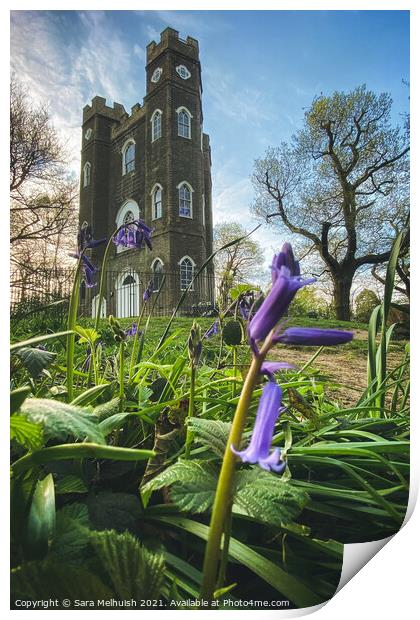Bluebells and Sevendroog Castle Print by Sara Melhuish