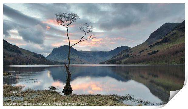 Lone tree at Buttermere Print by Russell Burton