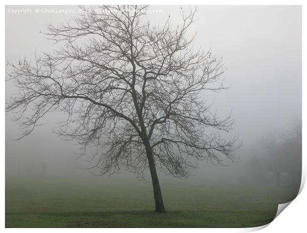 Winter Tree in Winter Fog Print by Chris Langley