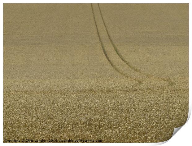The Wheatfield Print by Chris Langley