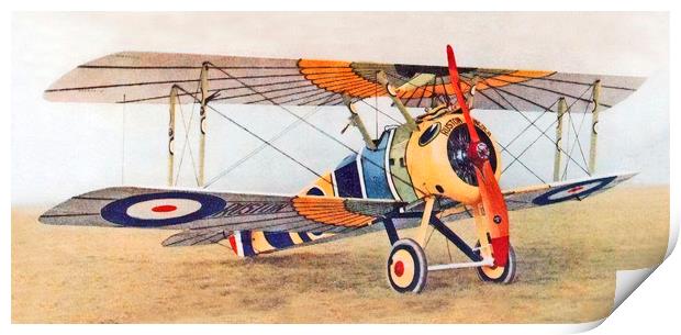 Sopwith Camel "Wings of Horus", 1000th Camel built Print by Chris Langley