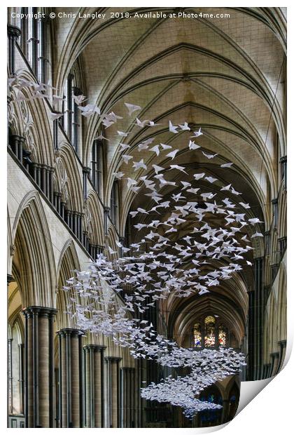 Origami Doves in Salisbury Cathedral Print by Chris Langley