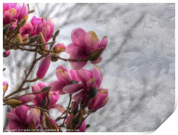 Tulip Tree Blossoms Print by Frankie Cat